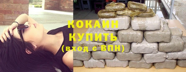 ешки Снежинск